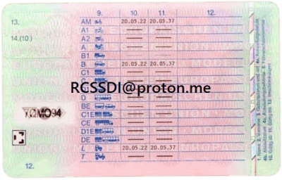 Deutschland Fuhrerschein - Image 2