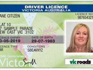Driving License
